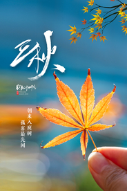 立秋节日活动促销海报素材