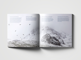 书籍杂志样机效果图