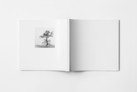 书籍杂志样机效果图