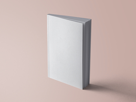 书籍杂志样机效果图