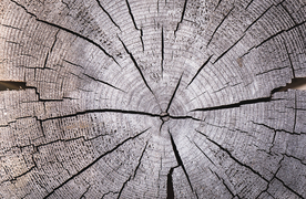 木头肌理·肌理