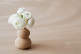 漂亮的白牡丹花朵