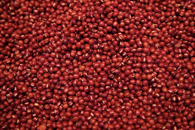 红豆