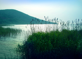 山水