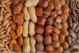 坚果