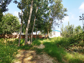 小路乡下农村风光背景素材