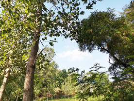 乡村乡下农村风光背景素材