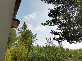 墙壁乡下农村风光背景素材