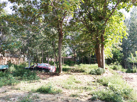 小道乡下农村风光背景素材