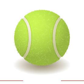 运动器材 排球 篮球 足球