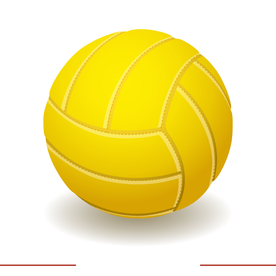 运动器材 排球 篮球 足球