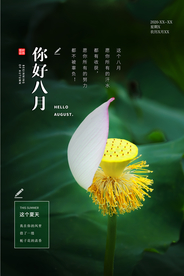 你好八月传统促销活动海报素材