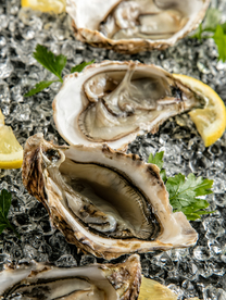 生蚝