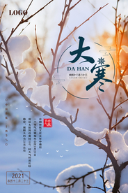 自然简约大寒海报