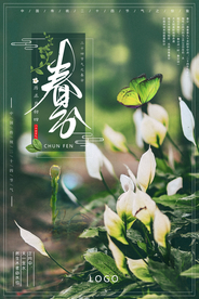 大气简约春分节气海报