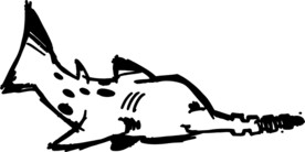鱼