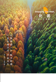 处暑节日促销活动宣传海报