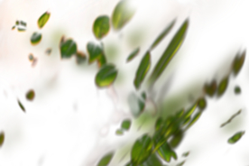 梦幻炫光特效素材