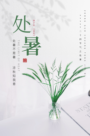 处暑传统节日活动促销宣传海报