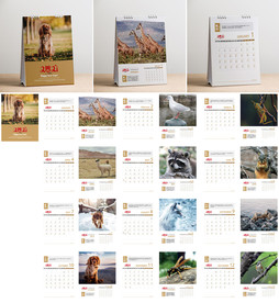 2021牛年台历日历设计