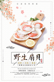 简洁美食野生扇贝海报
