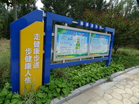 健康宣传栏
