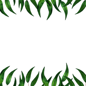 小清新水彩植物花朵