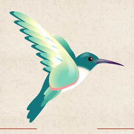 矢量动物 矢量植物 插画 手绘