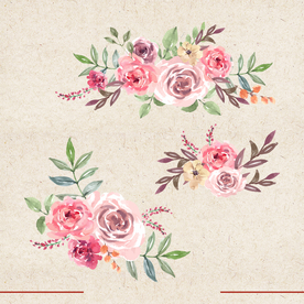 矢量动物 矢量植物 插画 手绘