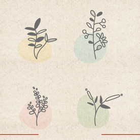 矢量动物 矢量植物 插画 手绘