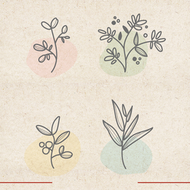 矢量动物 矢量植物 插画 手绘