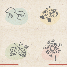 矢量动物 矢量植物 插画 手绘