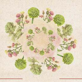 矢量动物 矢量植物 插画 手绘