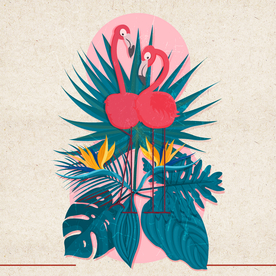 矢量动物 矢量植物 插画 手绘