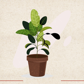 矢量动物 矢量植物 插画 手绘