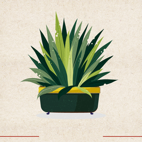 矢量动物 矢量植物 插画 手绘