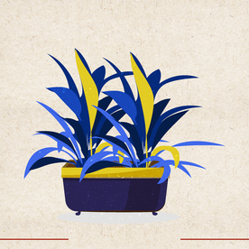 矢量动物 矢量植物 插画 手绘