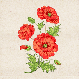 矢量动物 矢量植物 插画 手绘