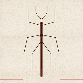 矢量动物 矢量植物 插画 手绘