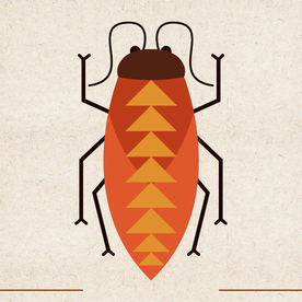 矢量动物 矢量植物 插画 手绘