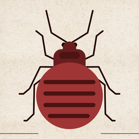 矢量动物 矢量植物 插画 手绘