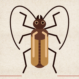 矢量动物 矢量植物 插画 手绘