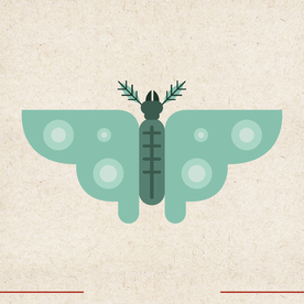 矢量动物 矢量植物 插画 手绘