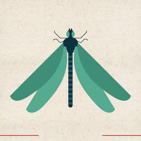 矢量动物 矢量植物 插画 手绘