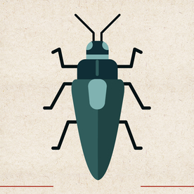 矢量动物 矢量植物 插画 手绘