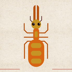 矢量动物 矢量植物 插画 手绘