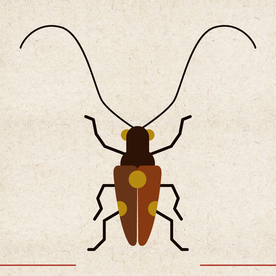 矢量动物 矢量植物 插画 手绘