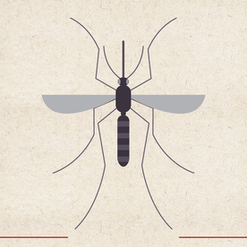 矢量动物 矢量植物 插画 手绘