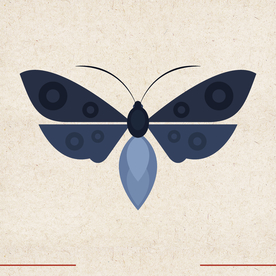 矢量动物 矢量植物 插画 手绘