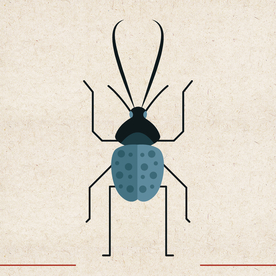 矢量动物 矢量植物 插画 手绘